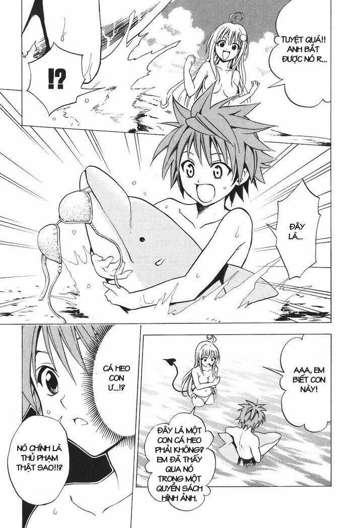 bọn tớ thích cậu! rito chapter 17 24