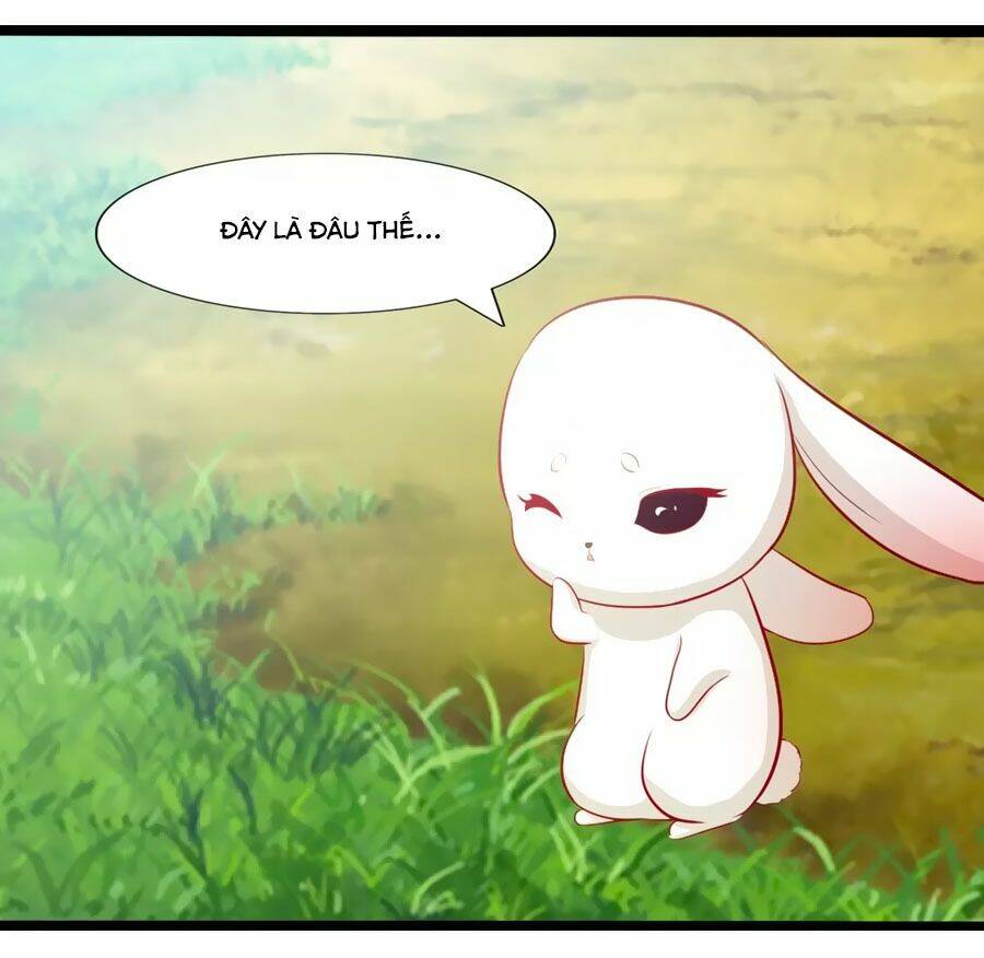 thỏ yêu tiểu vương phi chapter 54 4