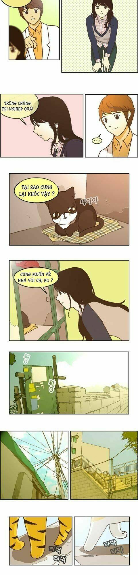 papi nyang chapter 9 5