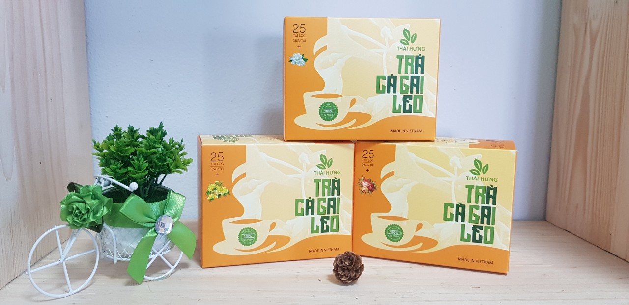 Combo 10 Hộp Trà thảo dược cao cấp Thái Hưng: CÀ GAI LEO