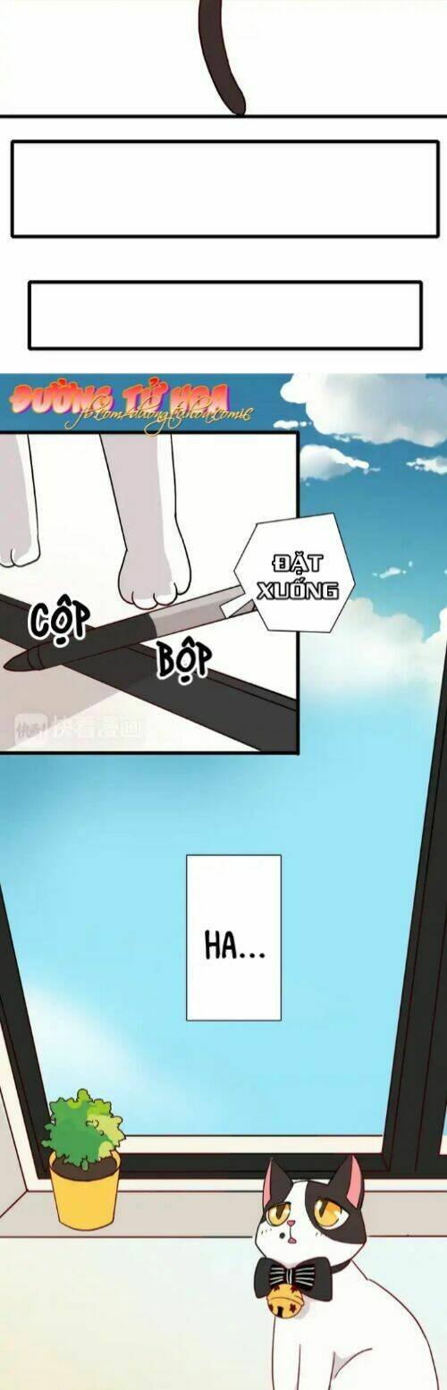 gấu nhỏ dư và thỏ thỏ hứa chapter 13 32