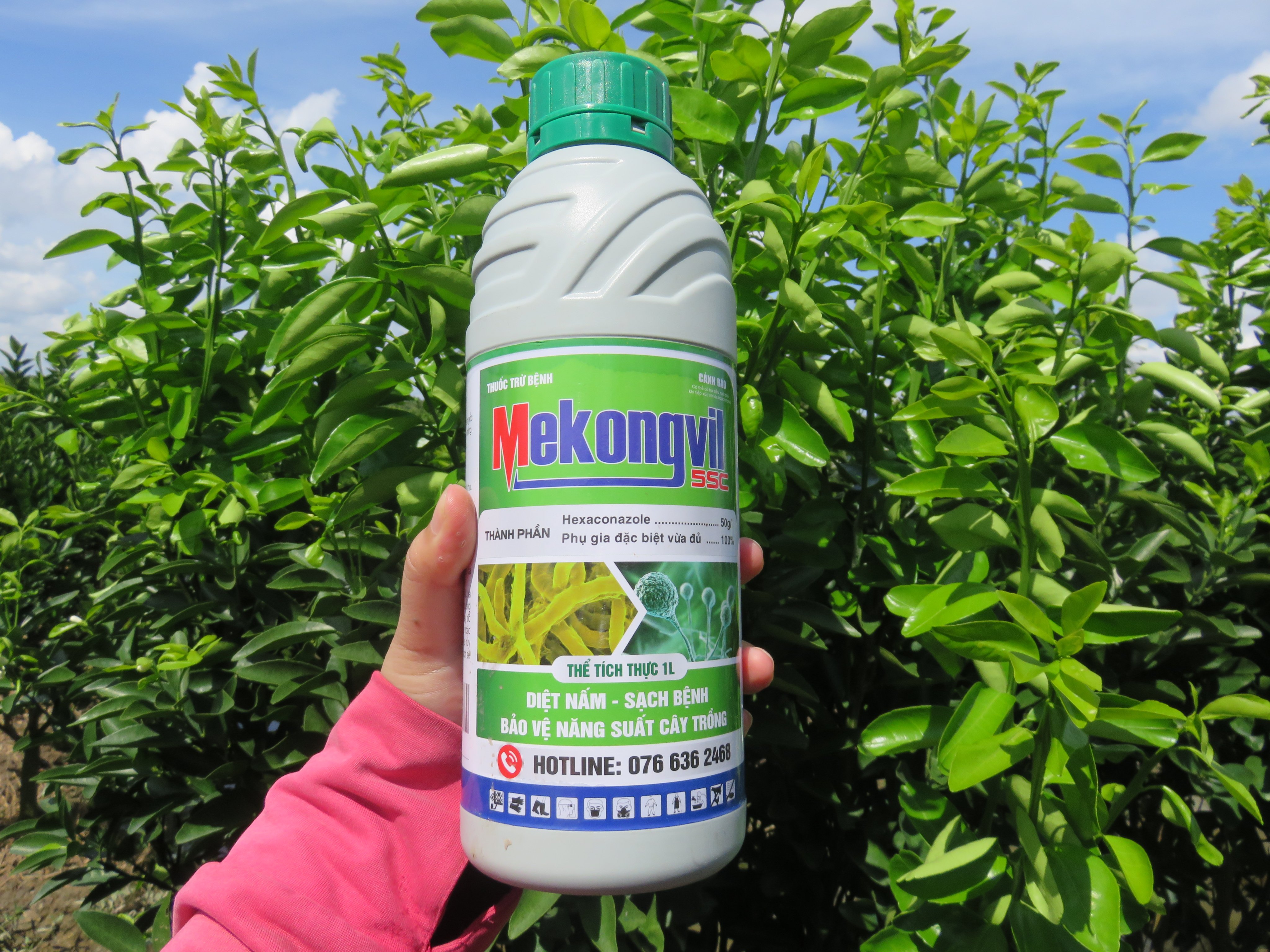 MEKONG VIL 5SC - phòng trừ nấm hại cây- hoạt chất hexaconazole