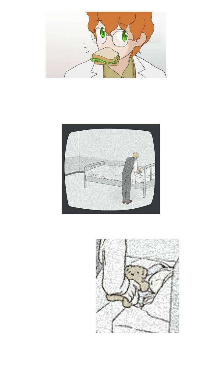 accord chapter 17 13