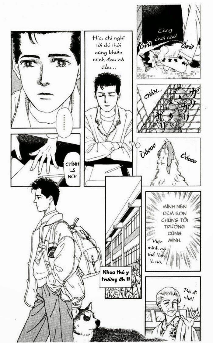 bác sĩ thú y chapter 6 6