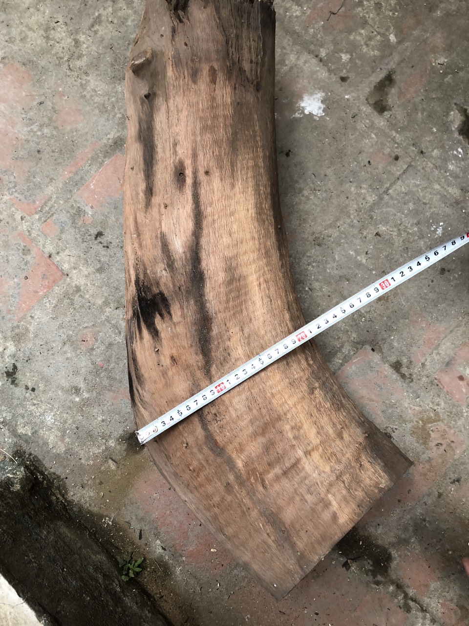 Gỗ nhãn ghé lan đường kính 21 cm dài 70 cm