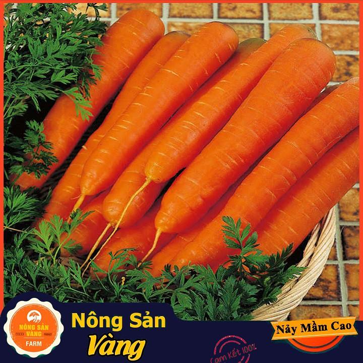 Hạt giống Cà Rốt Củ To F1