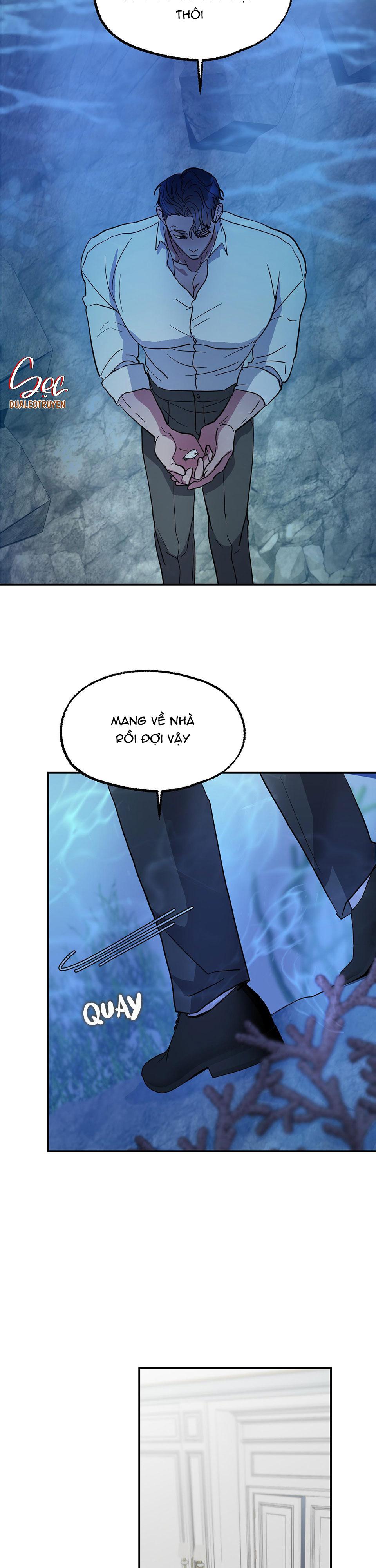 cá mập và cô dâu thỏ chapter 1 20