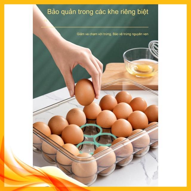Hộp trứng Fresh&Dial thêm dày 24 ngăn, nắp kín ️
