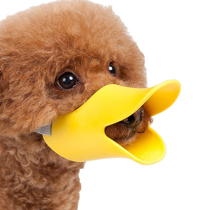 Rọ mõm mỏ vịt cho chó