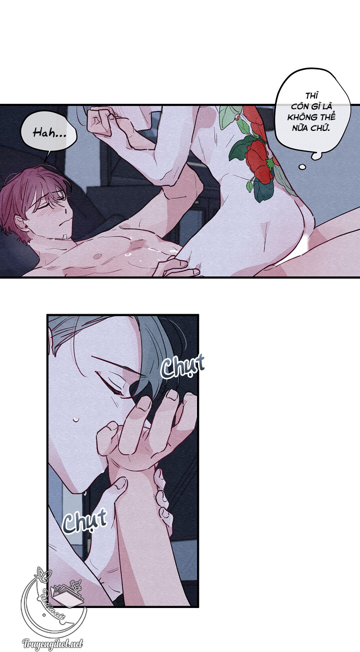 [bl19+] hoa không nở chapter 6 15