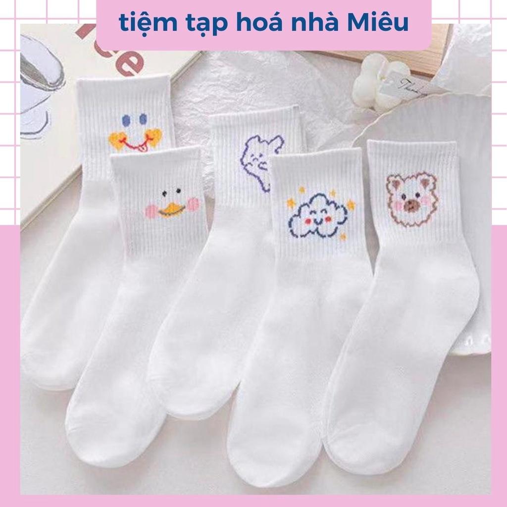 Tất nữ cổ ngắn chất liệu cotton co giãn bốn chiều, set vớ dễ thương - tiệm tạp hoá nhà Miêu