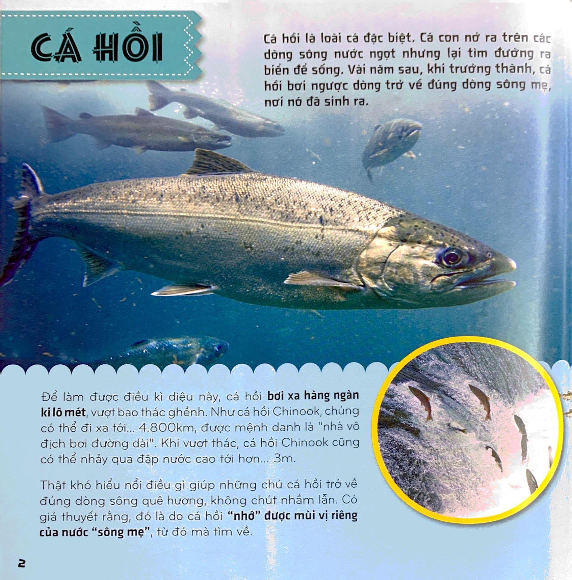 Bí Ẩn Thế Giới Loài Vật - Cá (Tái Bản 2024)