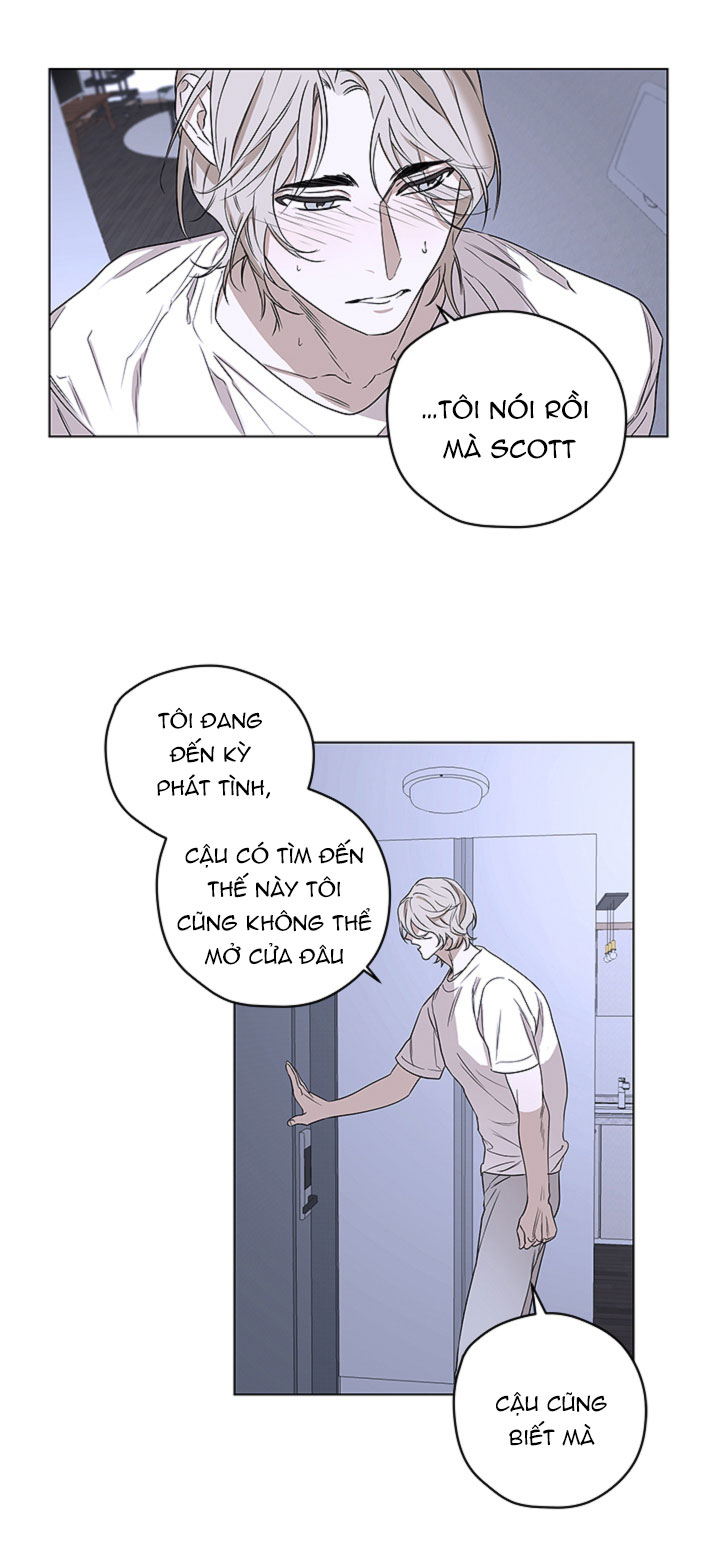 mị hoặc khó cưỡng chapter 2 13