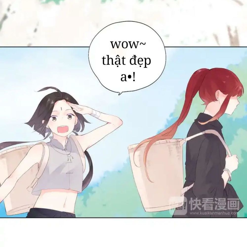 sos! tôi đã yêu một con sâu bướm (phần 2) chapter 43 34