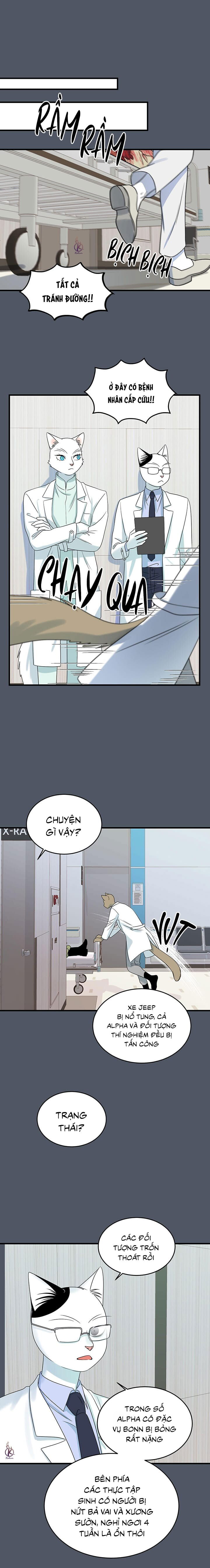 dự án xanh chapter 45 1