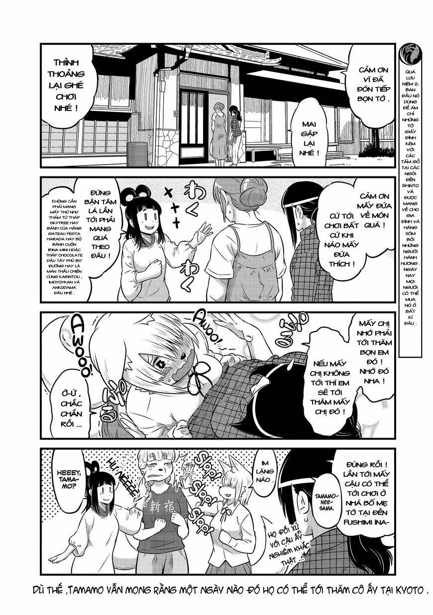 high school inari tamamo-chan ! chapter 19 9