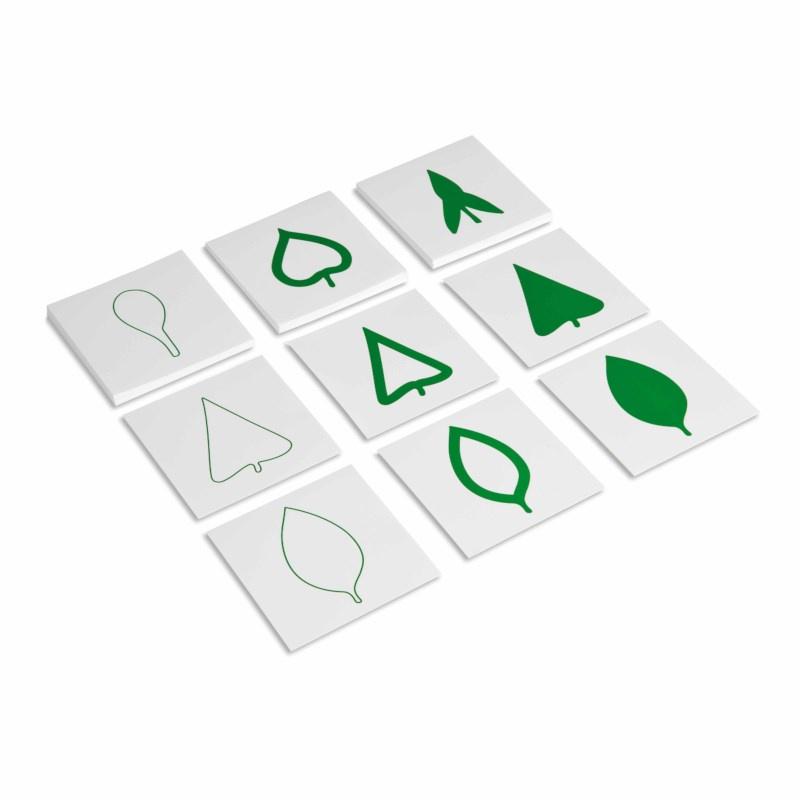 Thẻ mẫu lá cây - Leaf cards