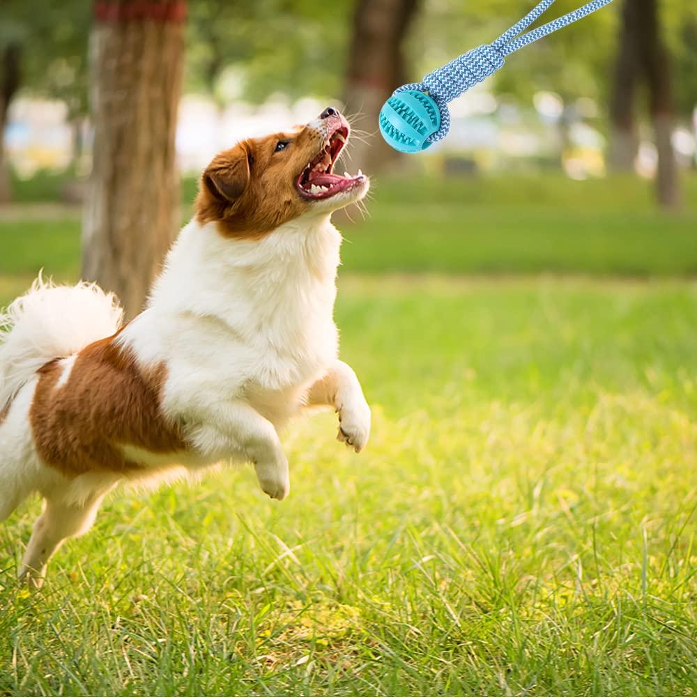 Bóng đồ chơi chó với dây thừng, 2 miếng bóng chó với dây, bóng chó không thể phá hủy 6cm, ném đồ chơi cao su chó, bánh chơi cho chăm sóc nha khoa chó nhỏ lớn bắt