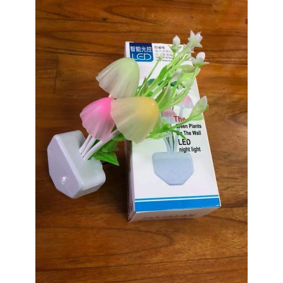 Đèn Ngủ Hình Nấm Cảm Biến Ánh Sáng Tự Động - Giao Hàng Toàn Quốc