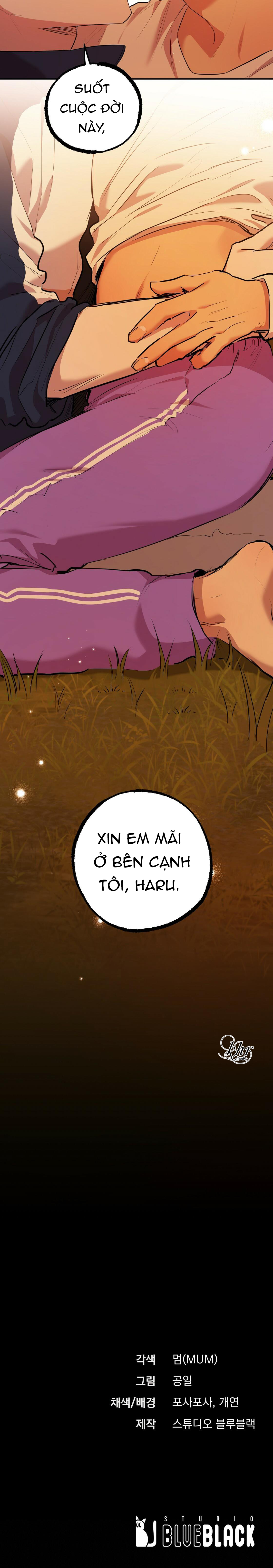 những chú thỏ của hapypy chapter 24 12