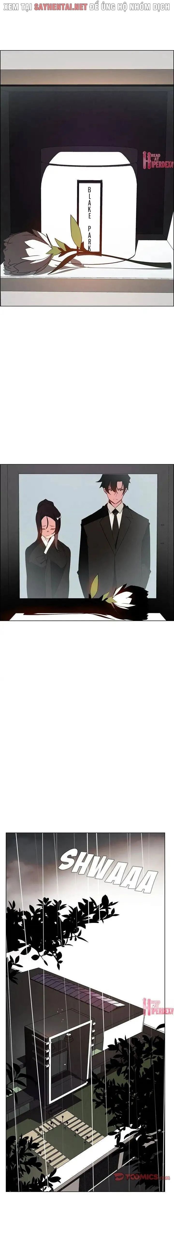 màn mưa chapter 75 3