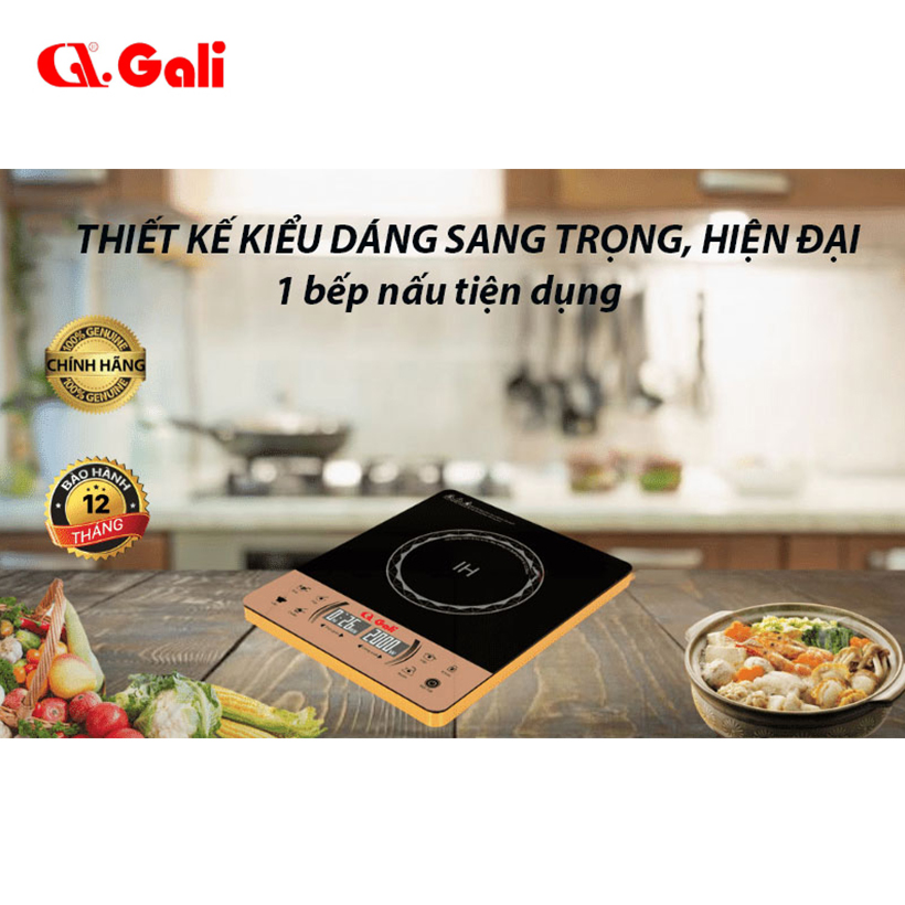 Bếp điện từ đơn cảm ứng Gali GL-2022 - Hàng chính hãng