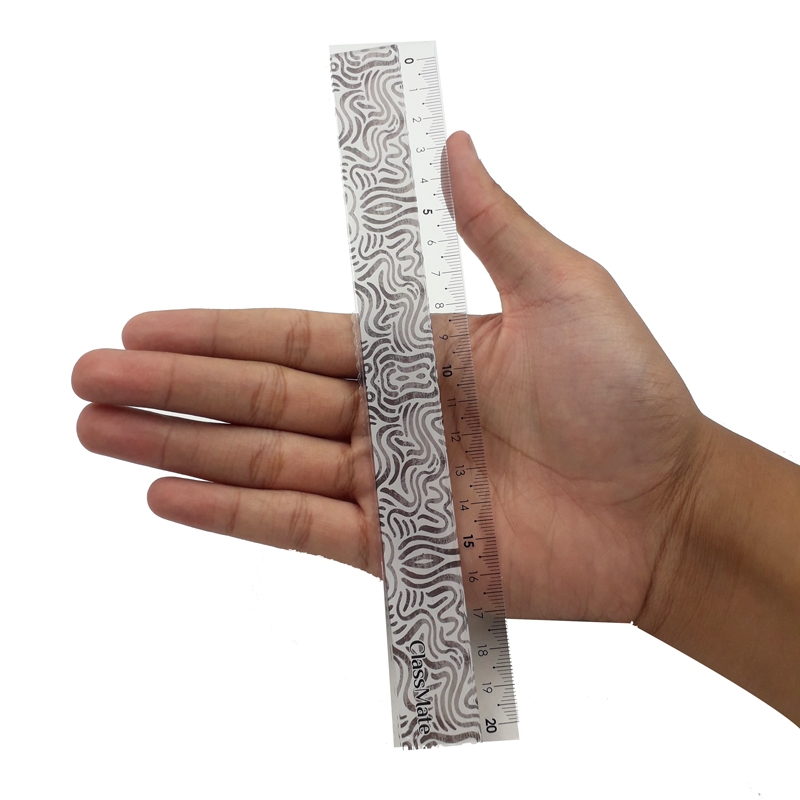 Thước Kẻ 20cm RL04-ME