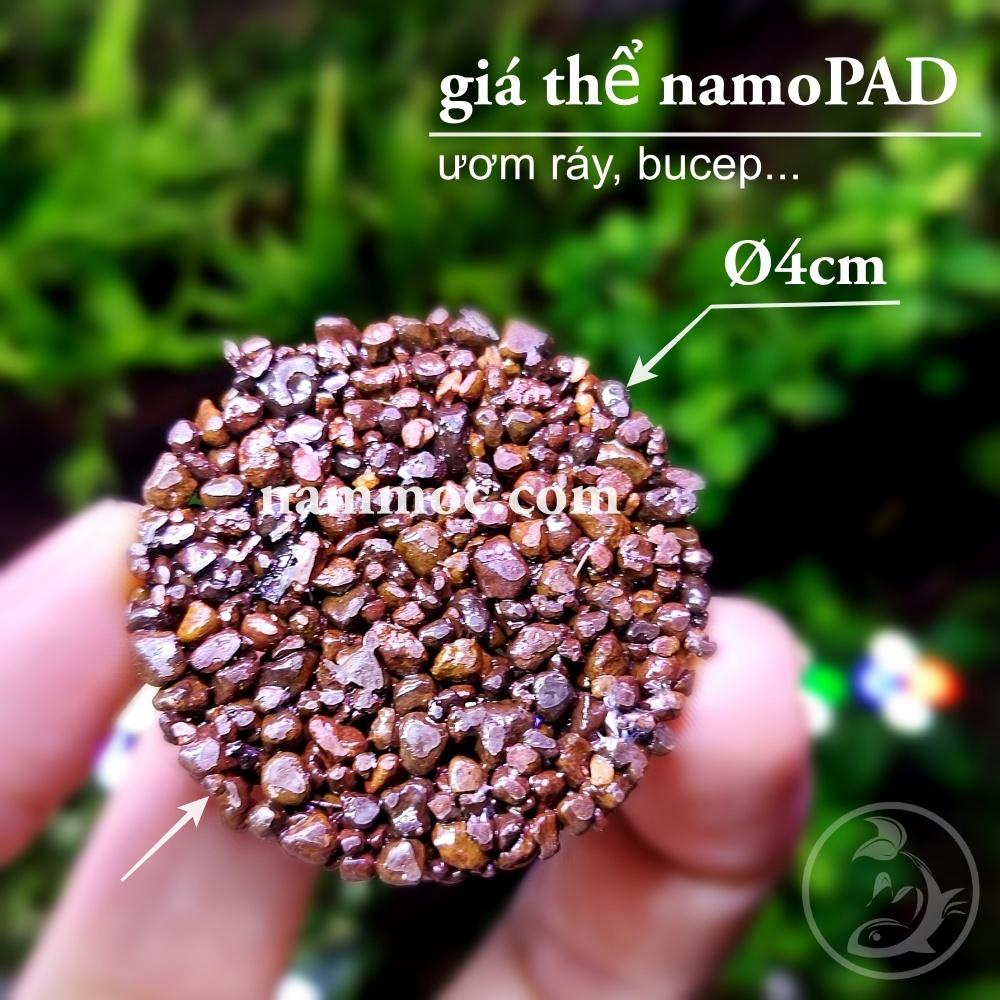 Giá Thể Ươm Cây Namoc | Giá Thể Ươm Ráy, Bucep... | Phụ kiện thuỷ sinh Nấm Aquatools