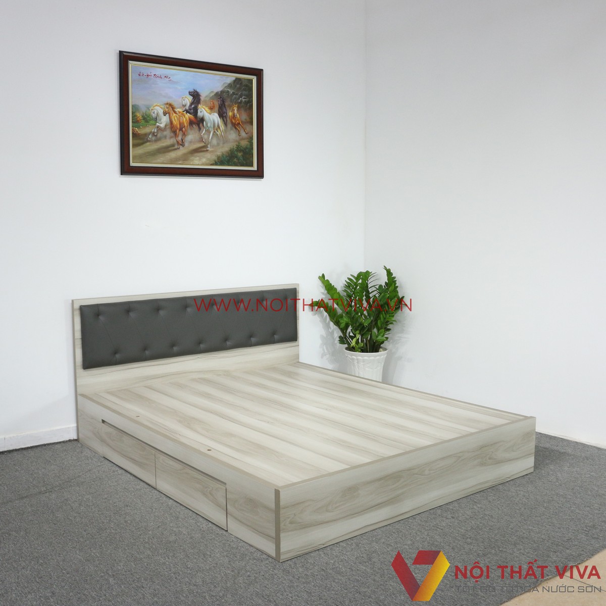 Giường Ngủ MDF Melamine Màu Xám Nhạt Vân Gỗ Có Hộc Kéo + Đầu Nệm Đen Đẹp