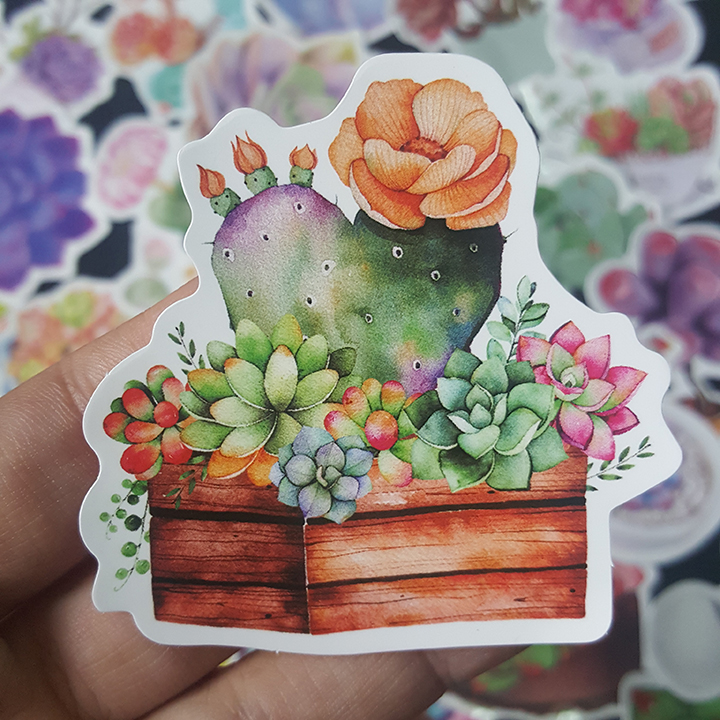 Bộ Sticker dán cao cấp chủ đề SEN ĐÁ SUCCULENTS - Dùng dán Xe, dán mũ bảo hiểm, dán Laptop