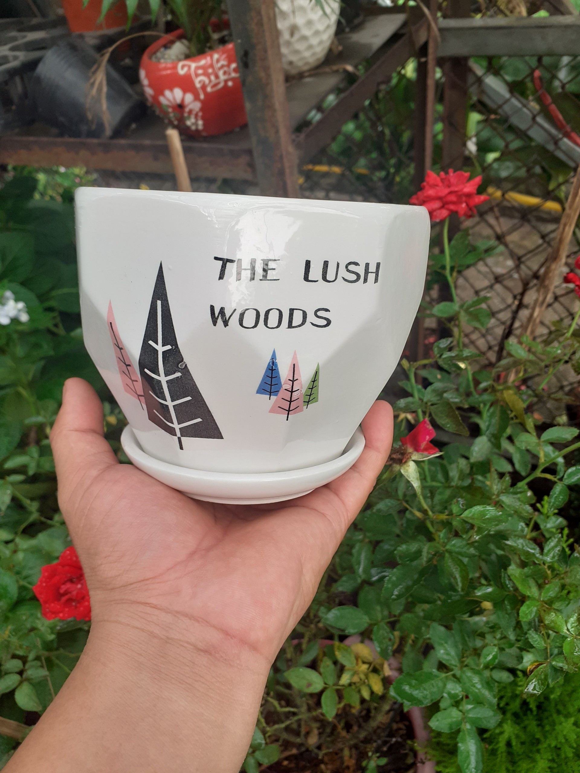 Chậu sứ tròn kèm dĩa rừng thông tươi tốt the lush woods