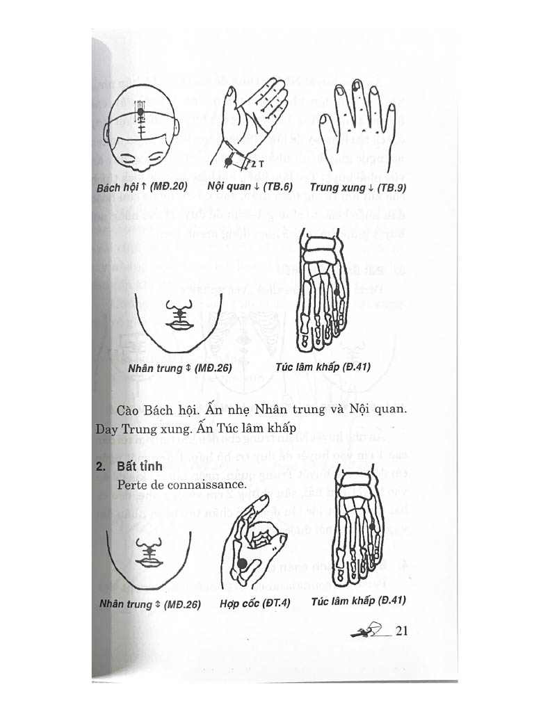 Khí Công Y Đạo - Tự Học Day Ấn Huyệt Chữa 104 Bệnh Cấp Cứu Thường Gặp - Đỗ Đức Ngọc - Tái Bản - Vanlangbooks