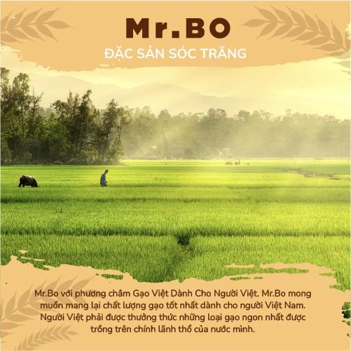 Gạo Đài thơm ĐT8 Mr. Bo túi 5kg thơm nhẹ, ngọt dẻo mềm cơm