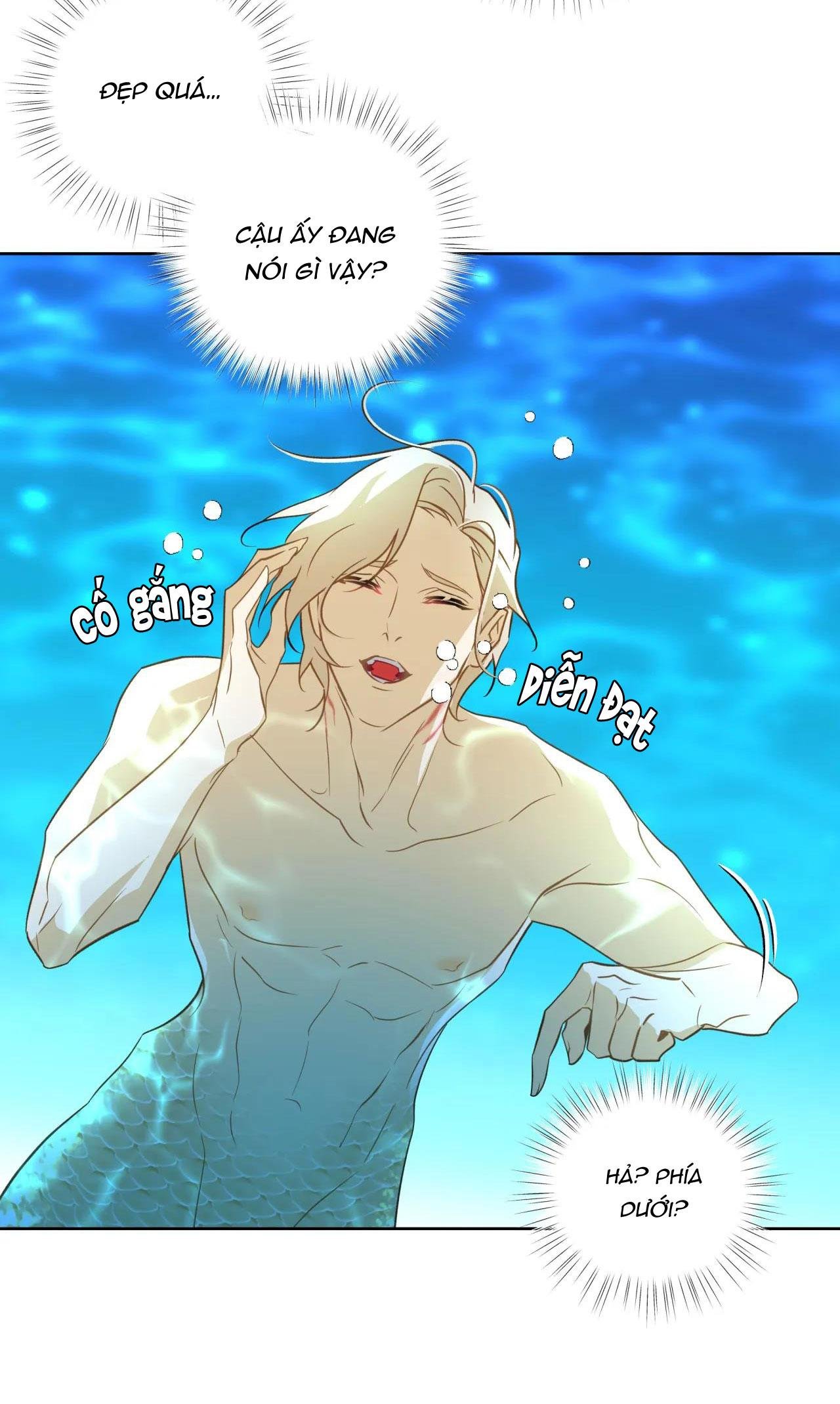 mỹ nhân ngư chapter 2 17