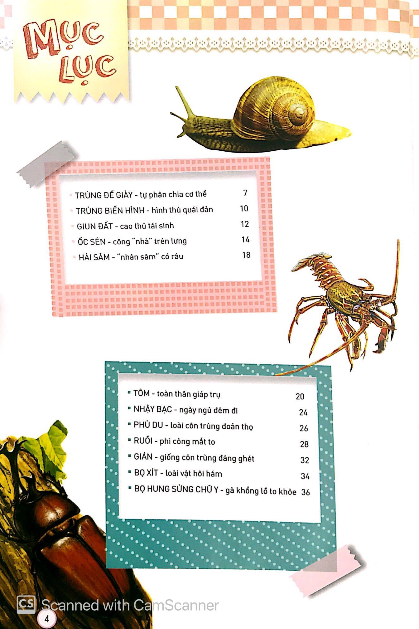 Sách Động Vật Kỳ Quặc