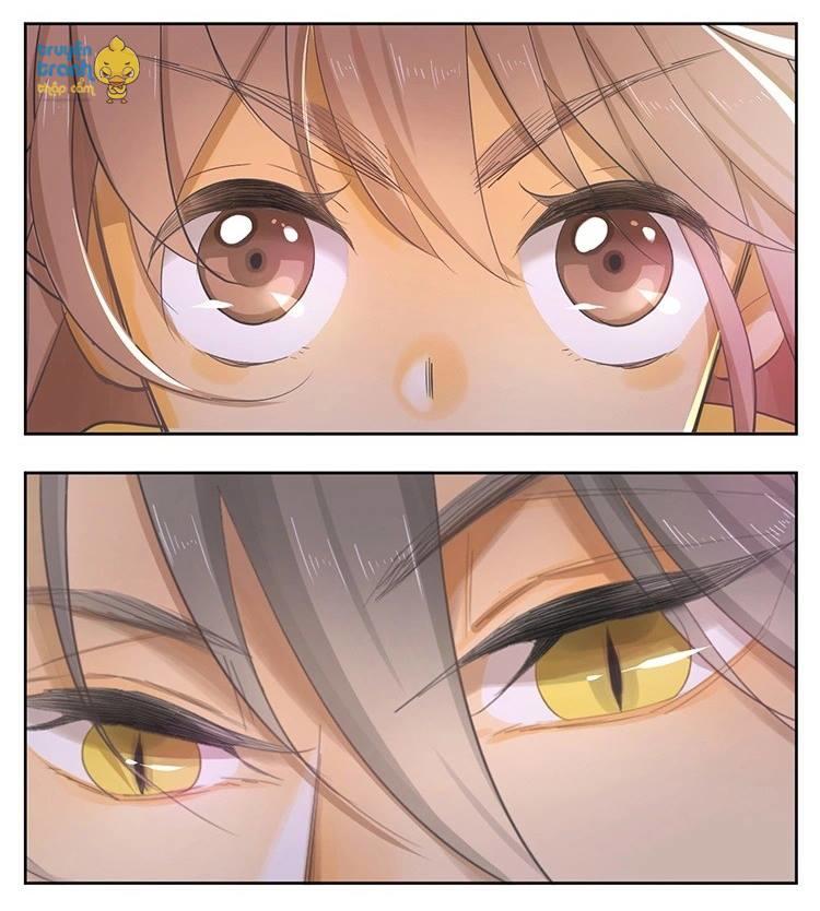 cứu mạng ! loài mèo thống trị thế giới rồi ! chapter 21 11