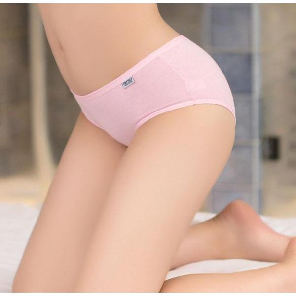 Quần lót nữ - Combo 5 - 10 quần lót cotton xuất Mỹ