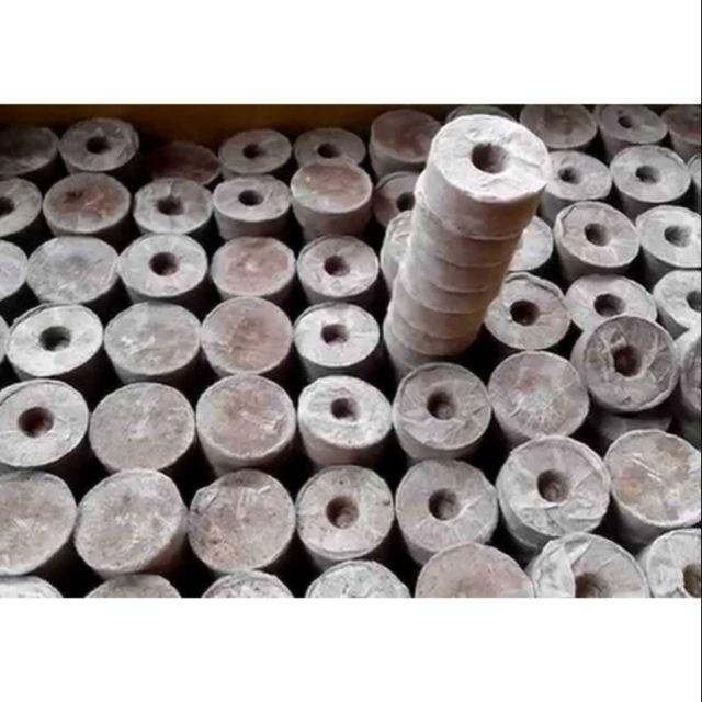 10 viên nén ươm hạt/ viên nén xơ dừa size trung