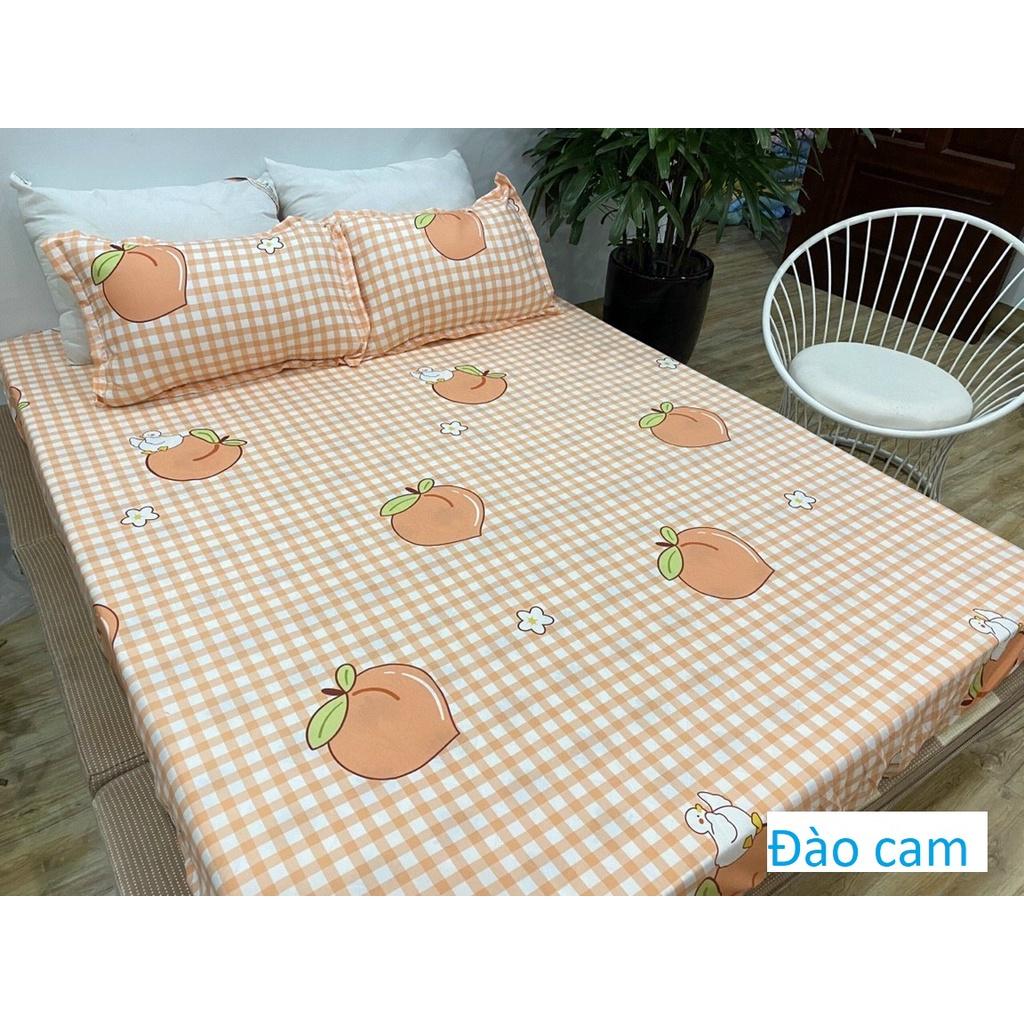 Bộ Ga Và 2 Vỏ Gối Nằm Cotton Poly Mẫu Đào Cam M4, M6/M8