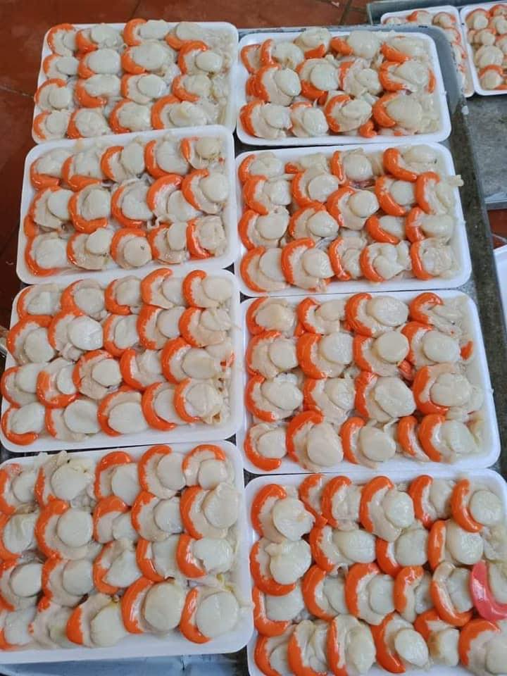 CỒI SÒ ĐIÊP - 250g