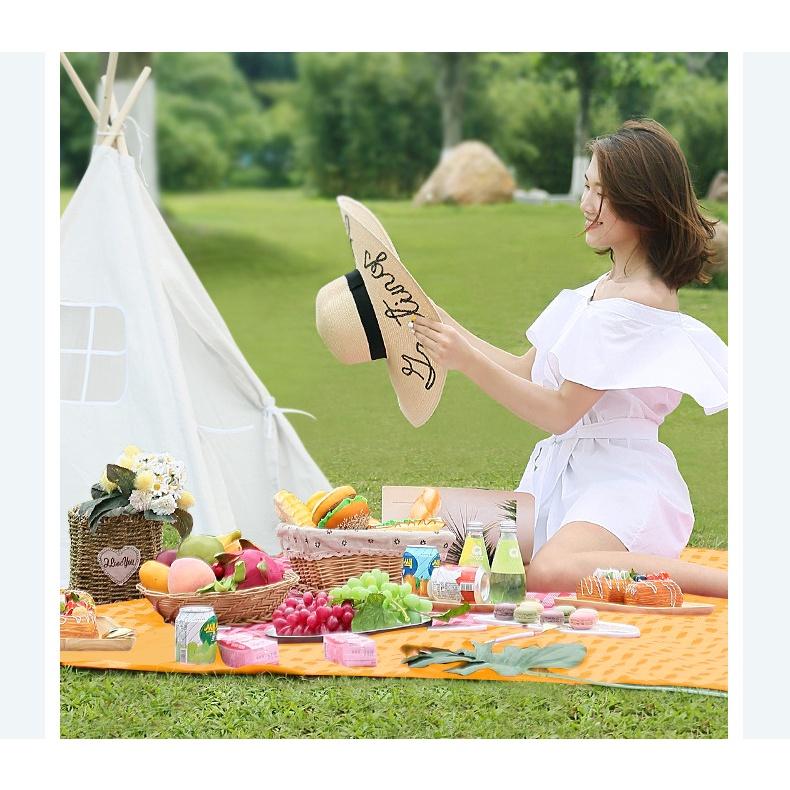 Thảm du lịch gấp gọn thảm trải picnic chống nước đi du lịch dã ngoại