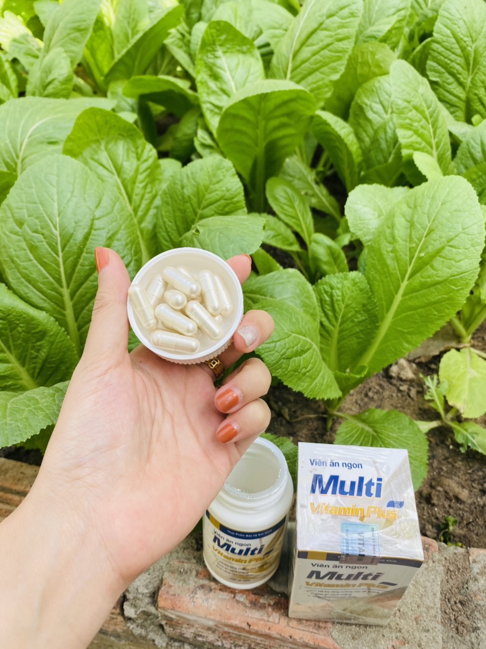 Viên Uống Hỗ Trợ Tăng Cân Multi Vitamin Plus