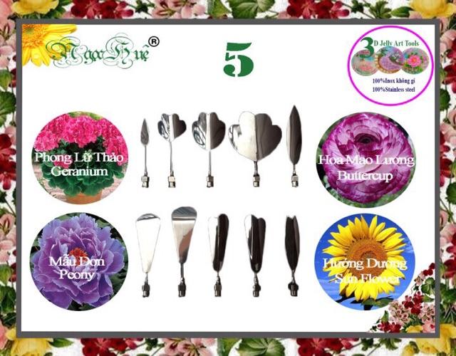 COMBO 2 BỘ Dụng cụ kim làm rau câu 3D 10 kim Ngọc Huệ