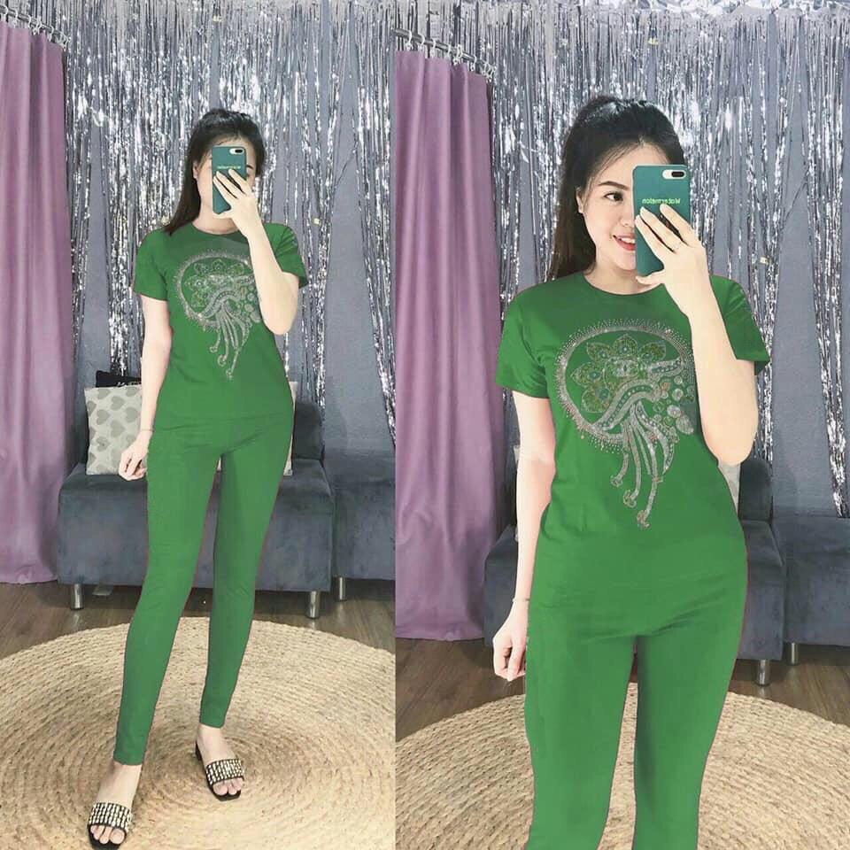 Set đồ bộ dài mặc nhà thun cotton co giãn 4 chiều / có size XXL