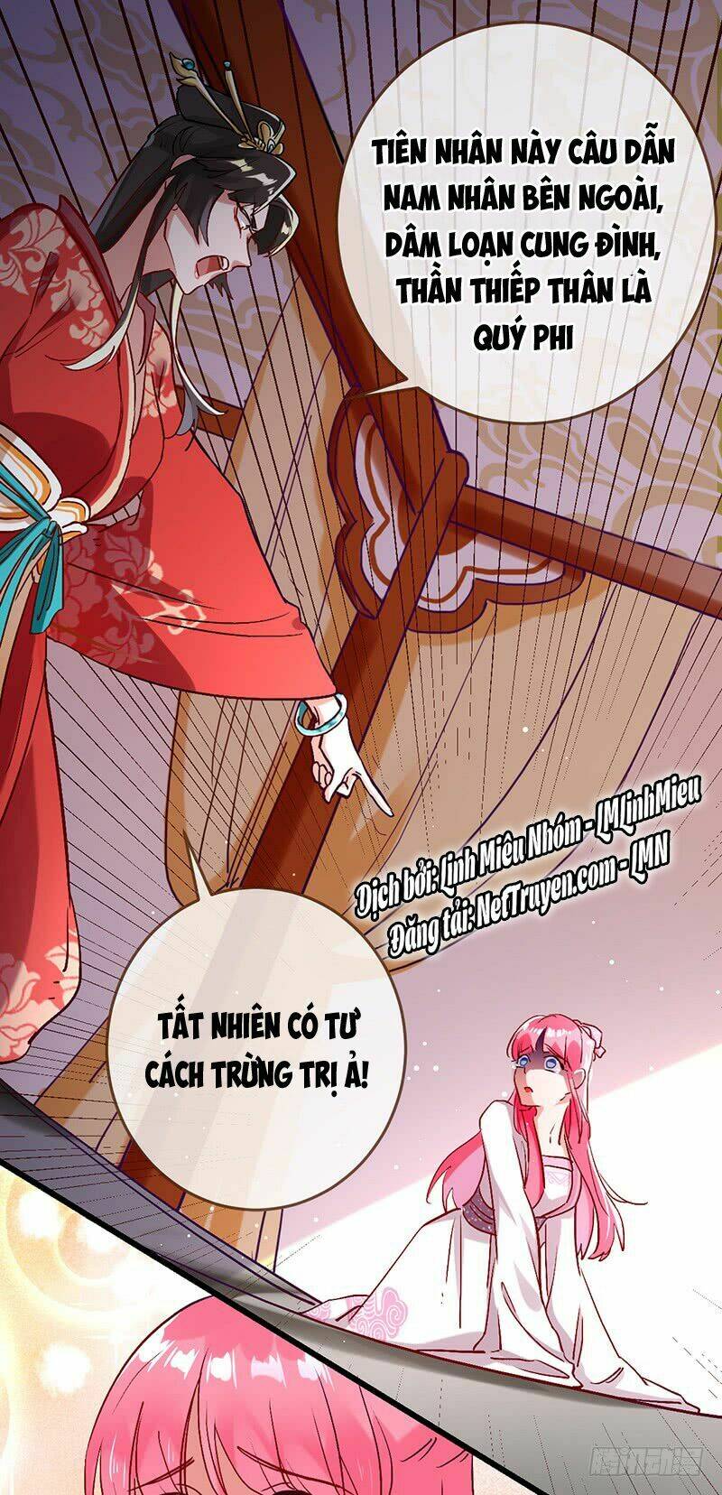 hệ thống nghịch tập chapter 1 4