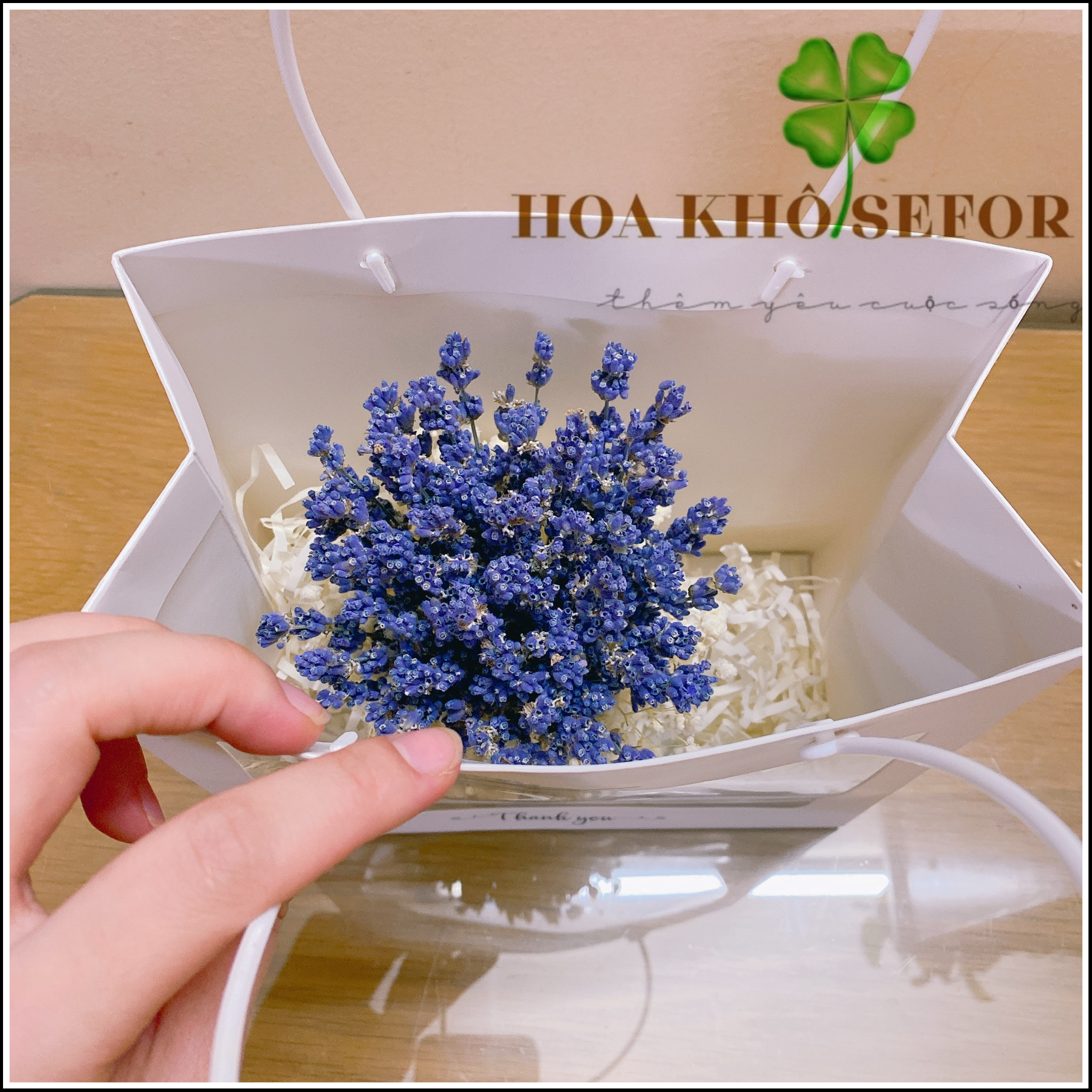 Lọ hoa Lavender &amp; túi quà tặng - Hoa khô Oải Hương