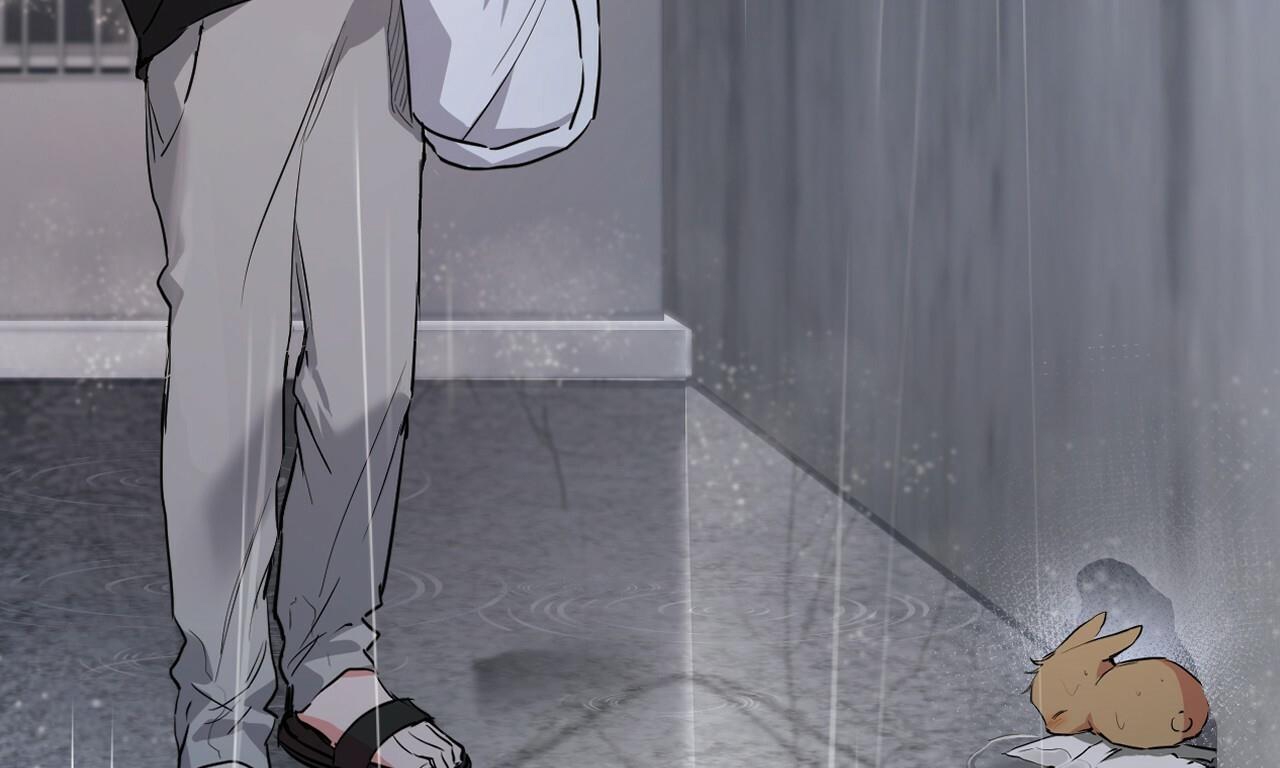 đàn thỏ của habibi chapter 35 4