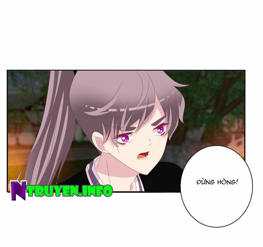 tướng quân mời ra trận chapter 164 12