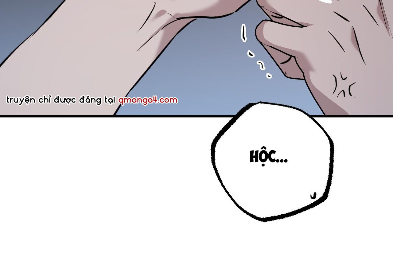 những chú thỏ của hapypy chapter 58 101