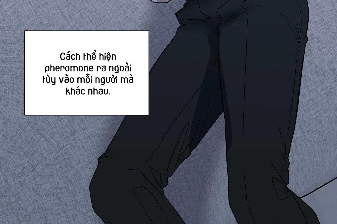 ám ảnh pheromone chapter 60 30